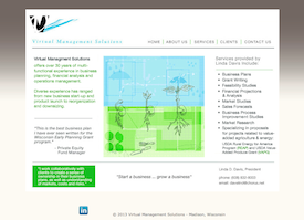 the Virtual Management Solutions website.