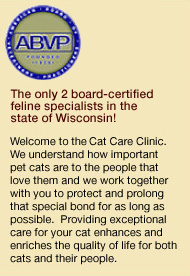The Cat Care Clinic has the only 2 board-certified feline specialists in the state of Wisconsin.