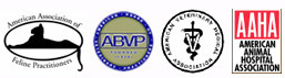 Cat Care Clinic is a member of the American Association of Feline Practitioners, the American Board of Veterinary Practitioners,the American Veterinary Association, and the American Animal Hospital Association.