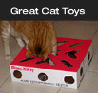Cat Toys are fun for cat and family.
