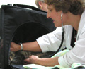 We care for cats and only cats.