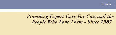 Expert cat care serving the Madison, Wisconsin area since 1987