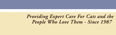 Expert cat care serving the Madison, Wisconsin area since 1987