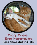Our environent has no barking dogs or dog odors that can be stressful to cats