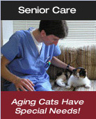 Aging cats have special needs and veternarians at the Cat Care Clinic helped write the Feline Senior Care report for the American Association of Feline Practitioners.