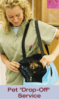 Our Drop-Off Service