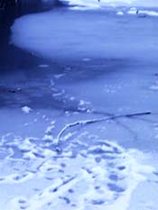 broken ice