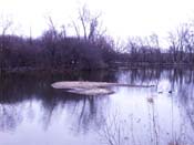 Island