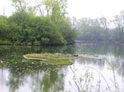Island