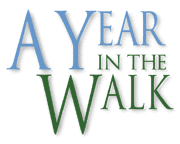 Year in The Walk